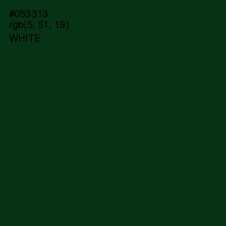 #053313 - County Green Color Image