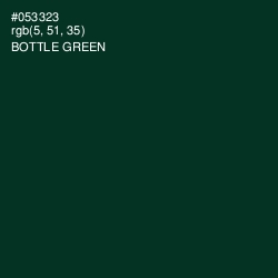 #053323 - Bottle Green Color Image