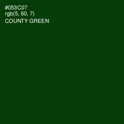 #053C07 - County Green Color Image