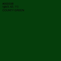 #053E0B - County Green Color Image