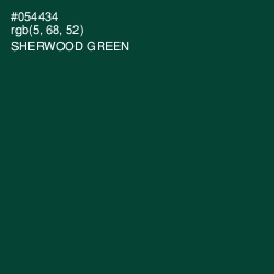 #054434 - Sherwood Green Color Image