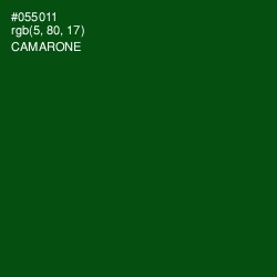 #055011 - Camarone Color Image