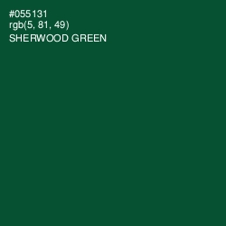 #055131 - Sherwood Green Color Image