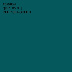 #05585B - Deep Sea Green Color Image