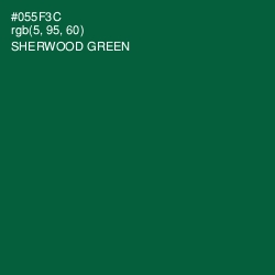 #055F3C - Sherwood Green Color Image