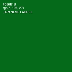 #056B1B - Japanese Laurel Color Image