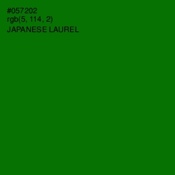 #057202 - Japanese Laurel Color Image