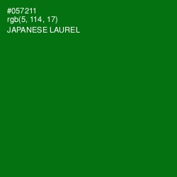 #057211 - Japanese Laurel Color Image