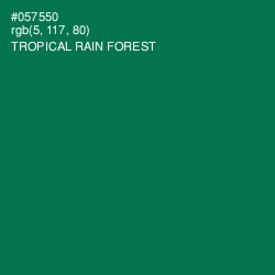 #057550 - Tropical Rain Forest Color Image