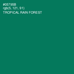 #05795B - Tropical Rain Forest Color Image