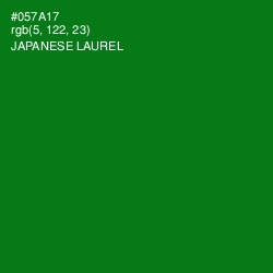 #057A17 - Japanese Laurel Color Image