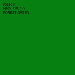 #058011 - Forest Green Color Image