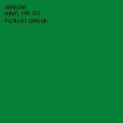 #058036 - Forest Green Color Image