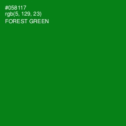 #058117 - Forest Green Color Image