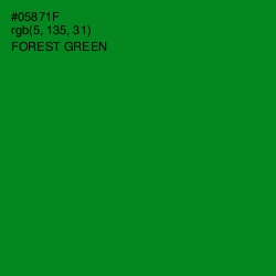 #05871F - Forest Green Color Image