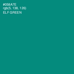 #058A7E - Elf Green Color Image