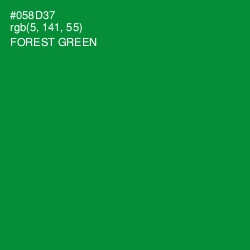 #058D37 - Forest Green Color Image