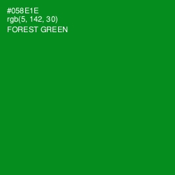 #058E1E - Forest Green Color Image
