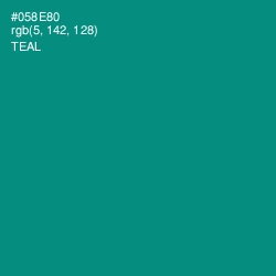 #058E80 - Teal Color Image