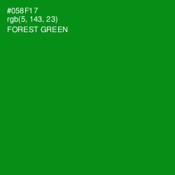 #058F17 - Forest Green Color Image
