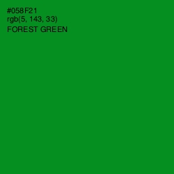 #058F21 - Forest Green Color Image