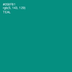 #058F81 - Teal Color Image