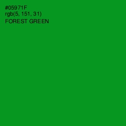 #05971F - Forest Green Color Image