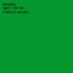 #05982E - Forest Green Color Image