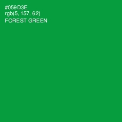 #059D3E - Forest Green Color Image