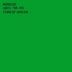 #059E2D - Forest Green Color Image