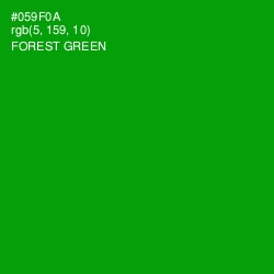 #059F0A - Forest Green Color Image