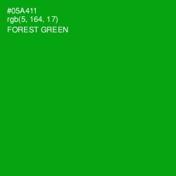 #05A411 - Forest Green Color Image