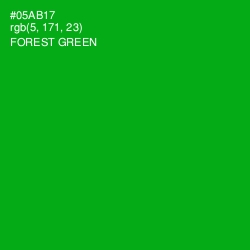 #05AB17 - Forest Green Color Image