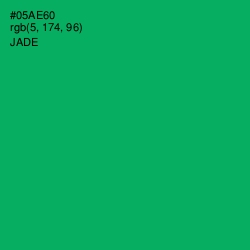 #05AE60 - Jade Color Image