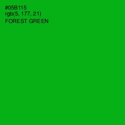 #05B115 - Forest Green Color Image