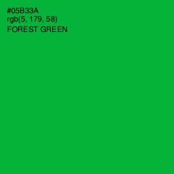 #05B33A - Forest Green Color Image