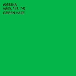 #05B54A - Green Haze Color Image