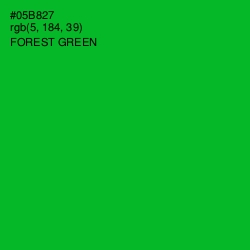 #05B827 - Forest Green Color Image