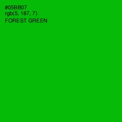 #05BB07 - Forest Green Color Image