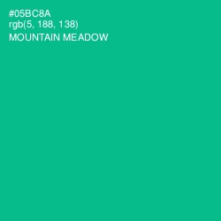 #05BC8A - Mountain Meadow Color Image