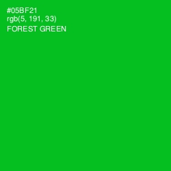 #05BF21 - Forest Green Color Image