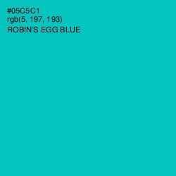 #05C5C1 - Robin's Egg Blue Color Image