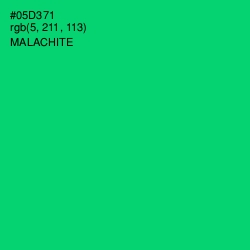 #05D371 - Malachite Color Image