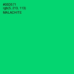 #05D571 - Malachite Color Image