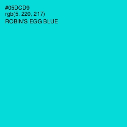 #05DCD9 - Robin's Egg Blue Color Image