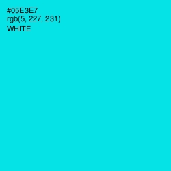 #05E3E7 - Cyan / Aqua Color Image