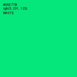 #05E77B - Spring Green Color Image