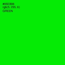 #05EB06 - Green Color Image