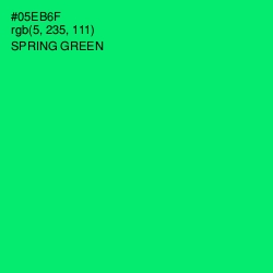 #05EB6F - Spring Green Color Image