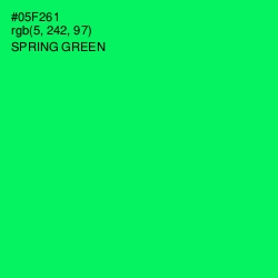 #05F261 - Spring Green Color Image